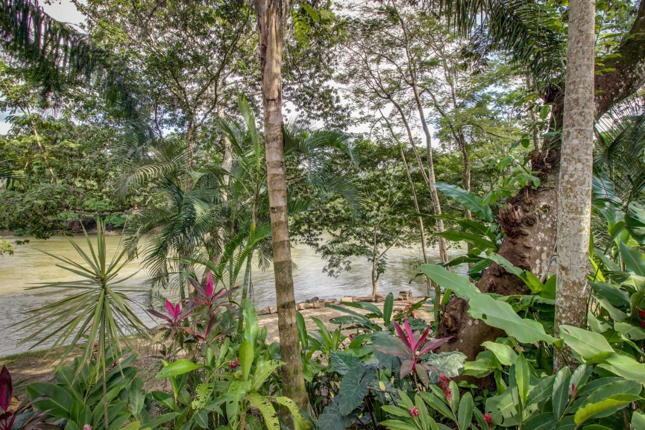 Mahogany Hall San Ignacio Buitenkant foto